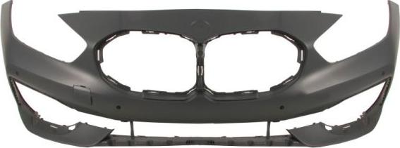 BLIC 5510-00-0073905P - Tampon aaoparts.ro