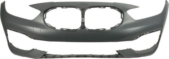 BLIC 5510-00-0073900P - Tampon aaoparts.ro