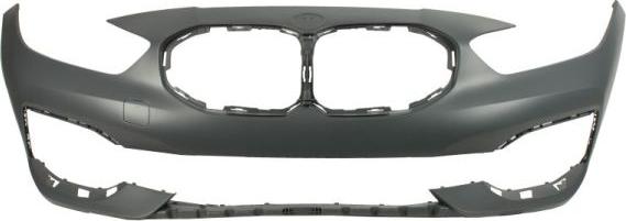 BLIC 5510-00-0073903P - Tampon aaoparts.ro