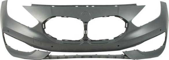 BLIC 5510-00-0073902P - Tampon aaoparts.ro