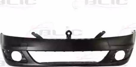 BLIC 5510-00-1301903P - Tampon aaoparts.ro