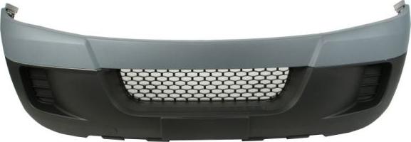 BLIC 5510-00-3081906Q - Tampon aaoparts.ro