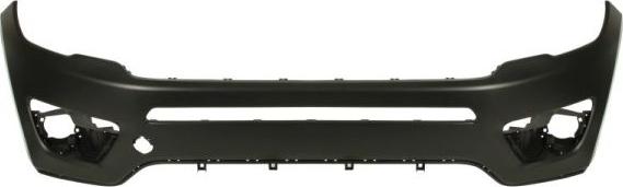 BLIC 5510-00-3217904Q - Tampon aaoparts.ro