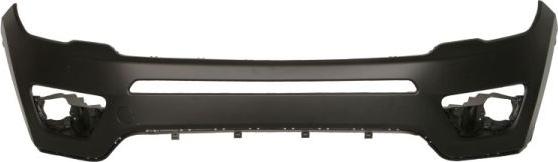 BLIC 5510-00-3217900P - Tampon aaoparts.ro