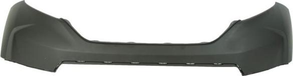 BLIC 5510-00-2951901P - Tampon aaoparts.ro