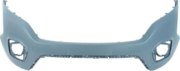 BLIC 5510-00-2053908Q - Tampon aaoparts.ro