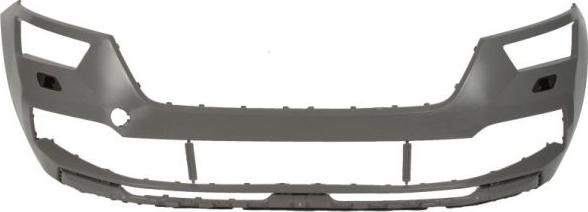 BLIC 5510-00-7518901P - Tampon aaoparts.ro