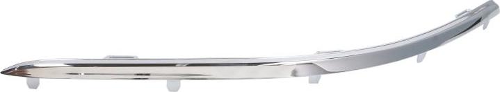 BLIC 5513-00-9545929P - Banda de protectie, bara de protectie aaoparts.ro