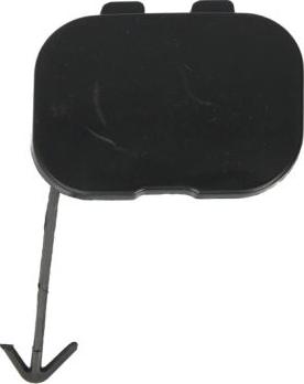 BLIC 5513-00-9504920P - Capac carlig remorcare aaoparts.ro