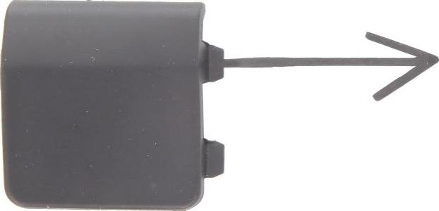 BLIC 5513-00-9507922Q - Capac carlig remorcare aaoparts.ro