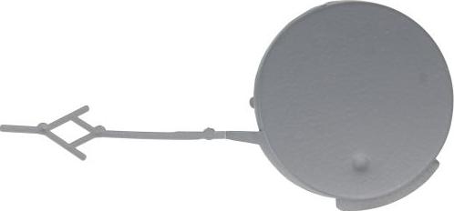 BLIC 5513-00-5079921Q - Capac carlig remorcare aaoparts.ro