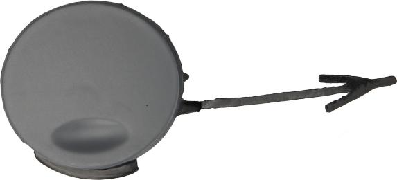 BLIC 5513-00-5079970Q - Capac carlig remorcare aaoparts.ro