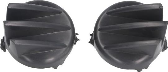 BLIC 5513-00-0557915Q - Grila ventilatie, bara protectie aaoparts.ro