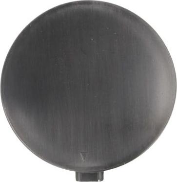 BLIC 5513-00-0097920P - Acoperire tampon,sistem de remorcare aaoparts.ro