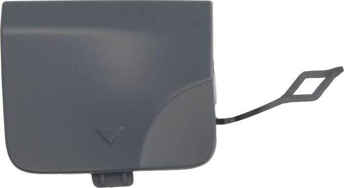 BLIC 5513-00-0097971P - Acoperire tampon,sistem de remorcare aaoparts.ro