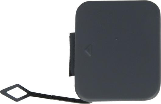 BLIC 5513-00-0065970P - Acoperire tampon,sistem de remorcare aaoparts.ro