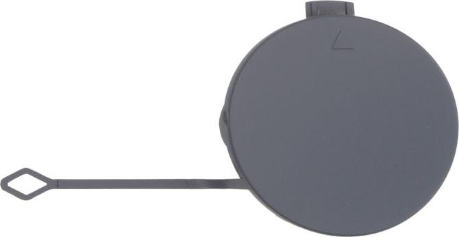 BLIC 5513-00-0068920MP - Acoperire tampon,sistem de remorcare aaoparts.ro