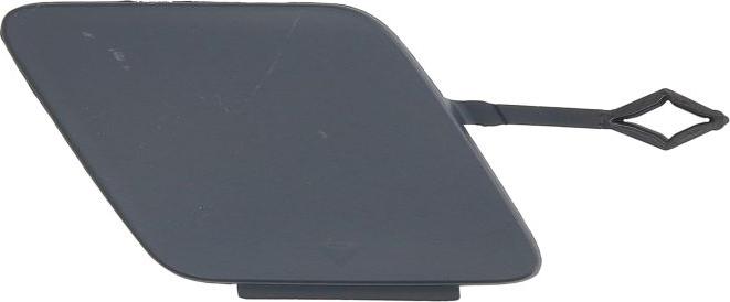 BLIC 5513-00-0068921P - Acoperire tampon,sistem de remorcare aaoparts.ro