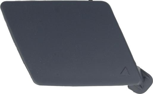 BLIC 5513-00-0067920P - Acoperire tampon,sistem de remorcare aaoparts.ro