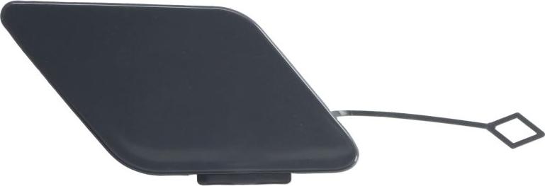 BLIC 5513-00-0067923GP - Acoperire tampon,sistem de remorcare aaoparts.ro