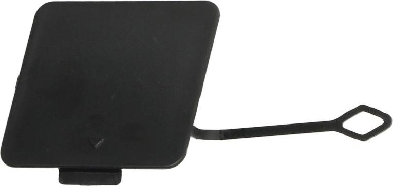 BLIC 5513-00-0067970GP - Acoperire tampon,sistem de remorcare aaoparts.ro