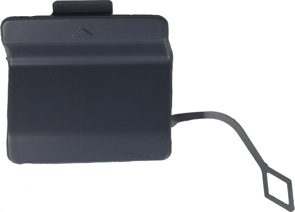 BLIC 5513-00-0067970P - Acoperire tampon,sistem de remorcare aaoparts.ro