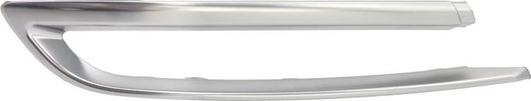 BLIC 5513-00-0067971PF - Banda de protectie, bara de protectie aaoparts.ro