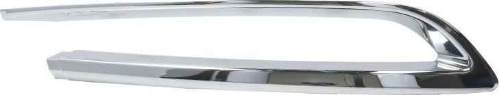 BLIC 5513-00-0067973PF - Banda de protectie, bara de protectie aaoparts.ro