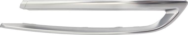 BLIC 5513-00-0067972PF - Banda de protectie, bara de protectie aaoparts.ro