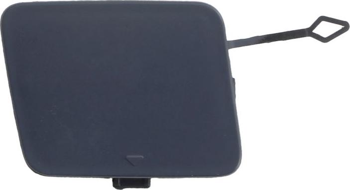 BLIC 5513-00-0081920P - Acoperire tampon,sistem de remorcare aaoparts.ro