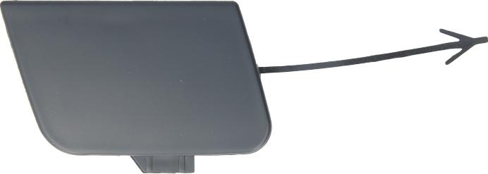 BLIC 5513-00-0026920P - Acoperire tampon,sistem de remorcare aaoparts.ro