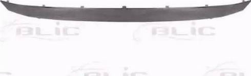 BLIC 5513-00-1301923P - Banda de protectie, grila radiator aaoparts.ro