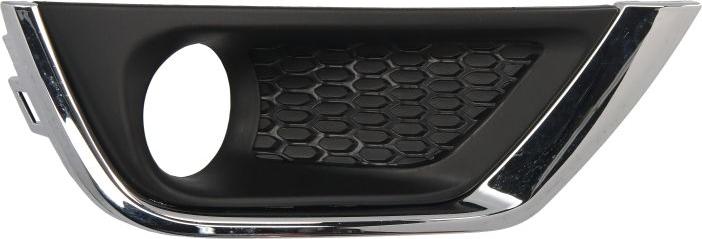 BLIC 5513-00-3217923P - Grila ventilatie, bara protectie aaoparts.ro