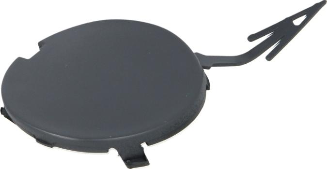 BLIC 5513-00-2556921P - Acoperire tampon,sistem de remorcare aaoparts.ro