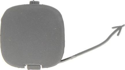 BLIC 5513-00-2053970P - Acoperire tampon,sistem de remorcare aaoparts.ro