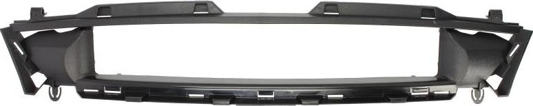 BLIC 5601-00-2563990P - Grila radiator aaoparts.ro