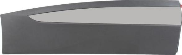 BLIC 5703-04-9584574P - Elemente decorative / protectie, portiera aaoparts.ro