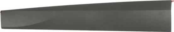 BLIC 5703-04-9584571P - Elemente decorative / protectie, portiera aaoparts.ro