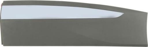 BLIC 5703-04-9584573P - Elemente decorative / protectie, portiera aaoparts.ro