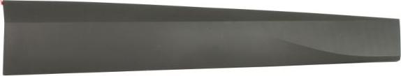 BLIC 5703-04-9584572P - Elemente decorative / protectie, portiera aaoparts.ro
