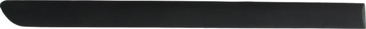 BLIC 5703-04-9524574P - Elemente decorative / protectie, portiera aaoparts.ro