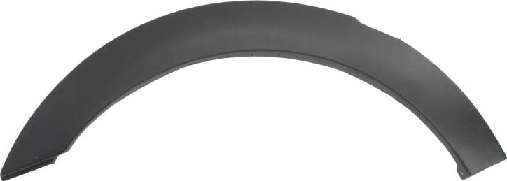 BLIC 5703-04-9522595P - Elemente decorative / protectie, aripa aaoparts.ro