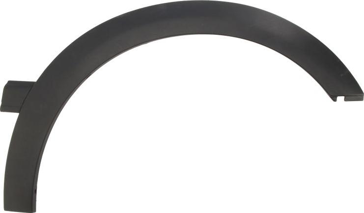 BLIC 5703-04-9522596P - Elemente decorative / protectie, aripa aaoparts.ro