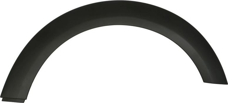 BLIC 5703-04-4001596P - Elemente decorative / protectie, aripa aaoparts.ro