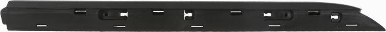 BLIC 5703-04-6001574P - Elemente decorative / protectie, portiera aaoparts.ro