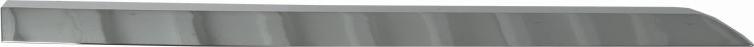 BLIC 5703-04-6001578P - Elemente decorative / protectie, portiera aaoparts.ro