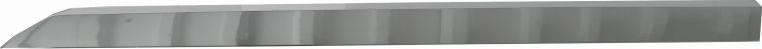 BLIC 5703-04-6001577P - Elemente decorative / protectie, portiera aaoparts.ro