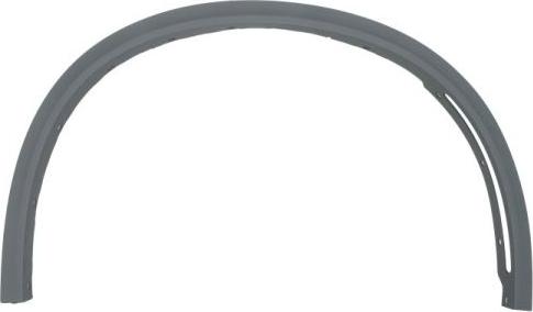 BLIC 5703-04-0096426P - Elemente decorative / protectie, aripa aaoparts.ro