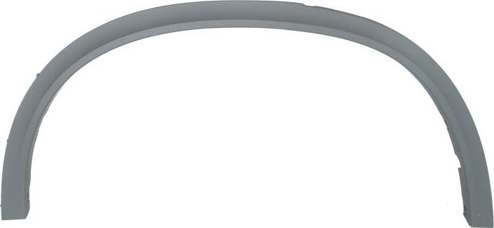 BLIC 5703-04-0096598PP - Elemente decorative / protectie, aripa aaoparts.ro