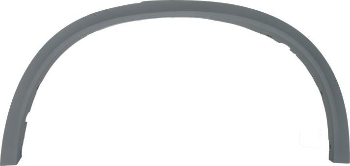 BLIC 5703-04-0096597PP - Elemente decorative / protectie, aripa aaoparts.ro